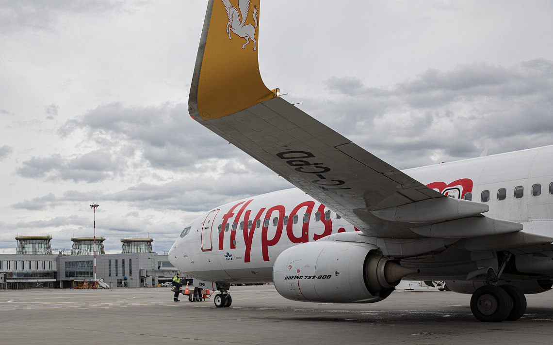 Из аэропорта Пулково Pegasus Airlines возобновит рейсы в Стамбул